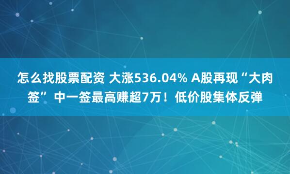 怎么找股票配资 大涨536.04% A股再现“大肉签” 中一签最高赚超7万！低价股集体反弹