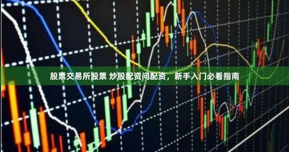 股票交易所股票 炒股配资问配资，新手入门必看指南