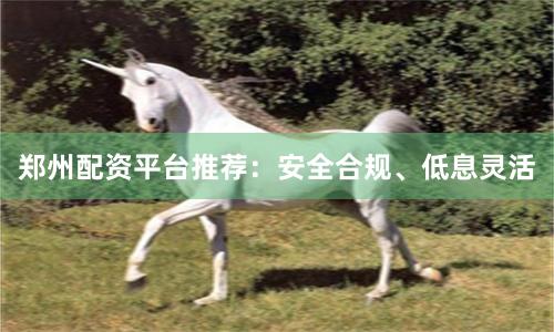 郑州配资平台推荐：安全合规、低息灵活